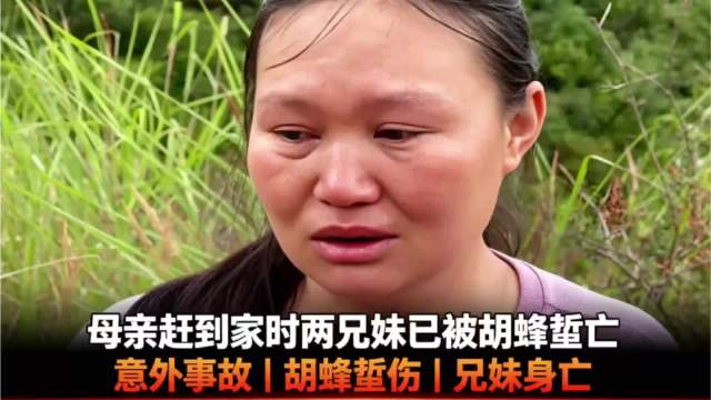 今天AC米兰直播,AC米兰免费直播在线观看,AC米兰高清直播无插件